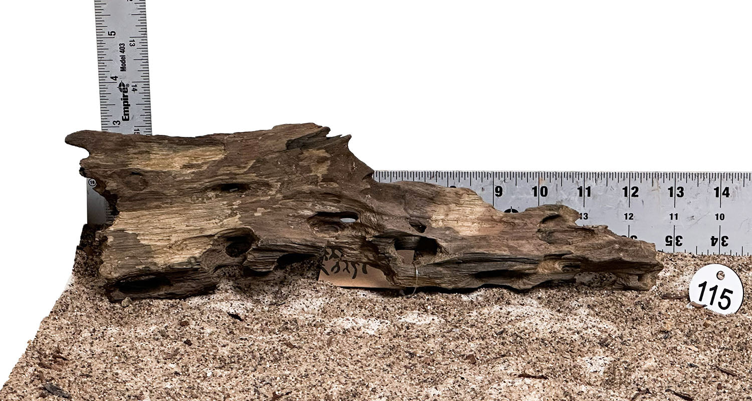 WYSIWYG 115S - 260325 - Ohko Wood (Small)