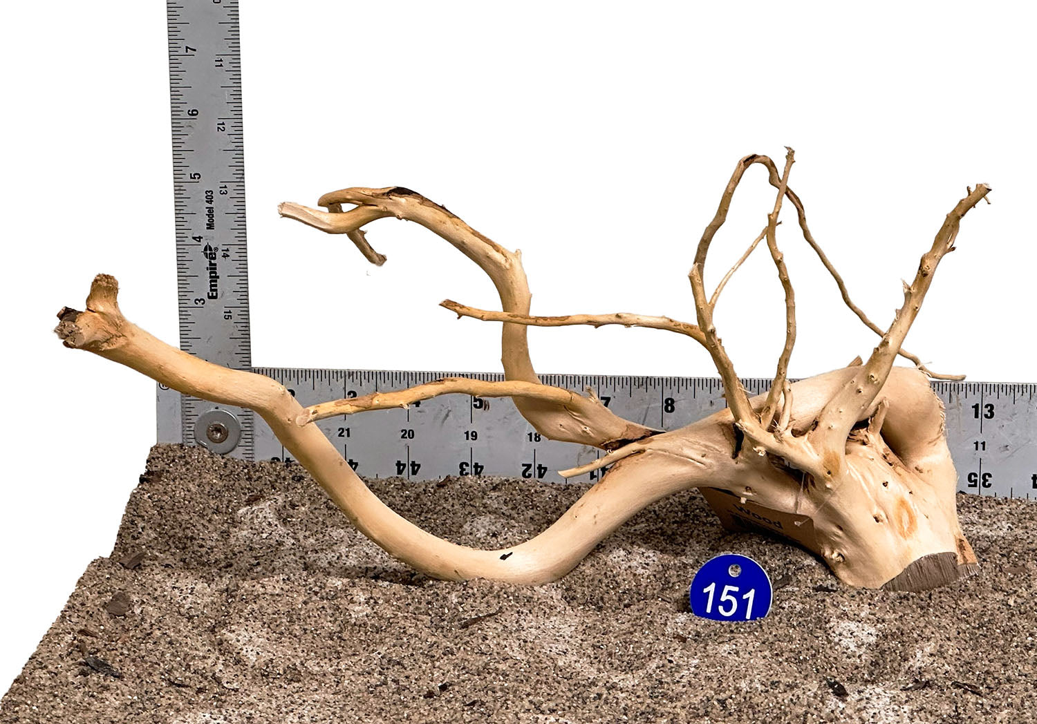 WYSIWYG 151BU - 260325 - Spider Wood (Small)