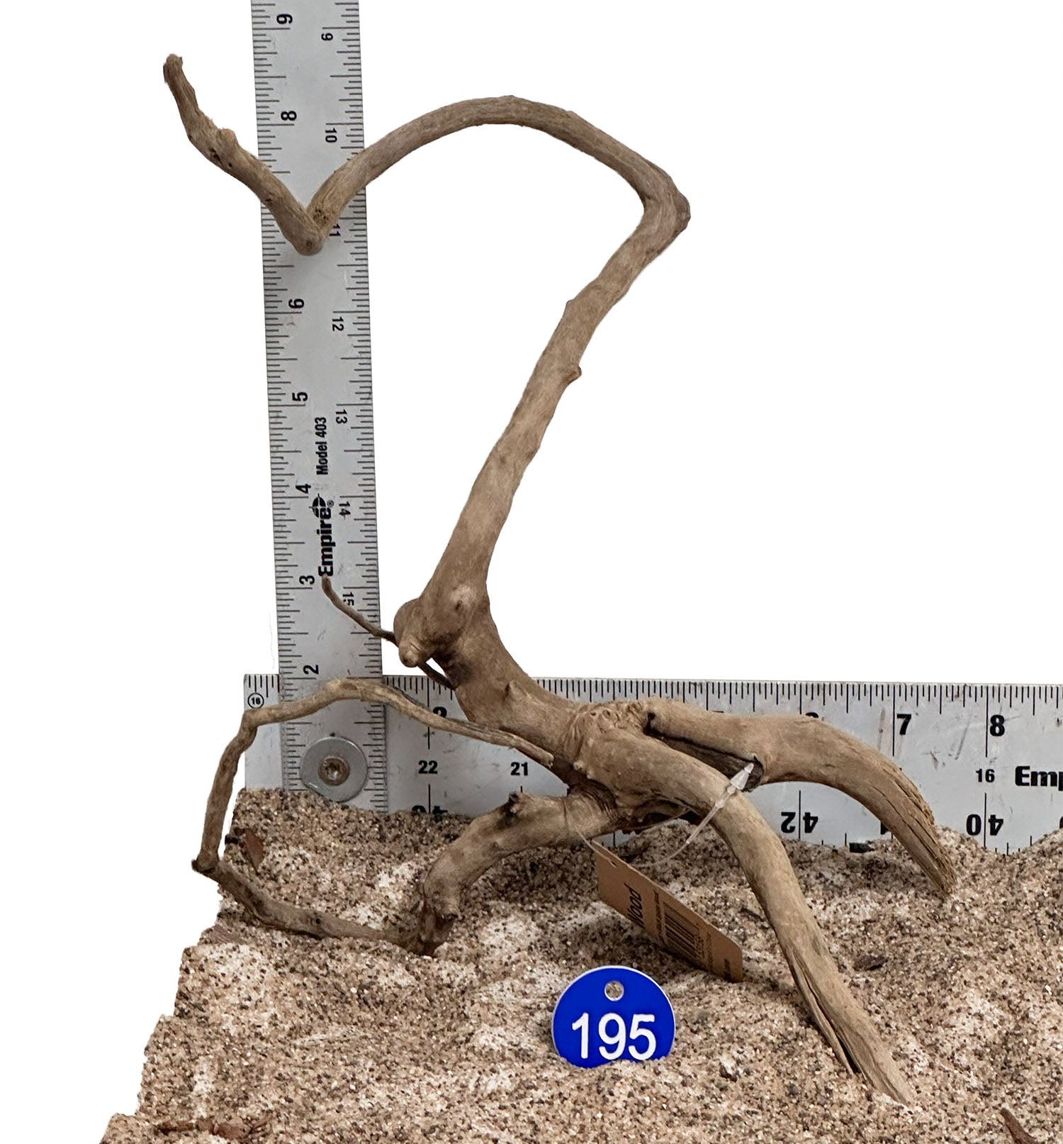 WYSIWYG 195BU - 260502 - Black Spider Wood (Small)