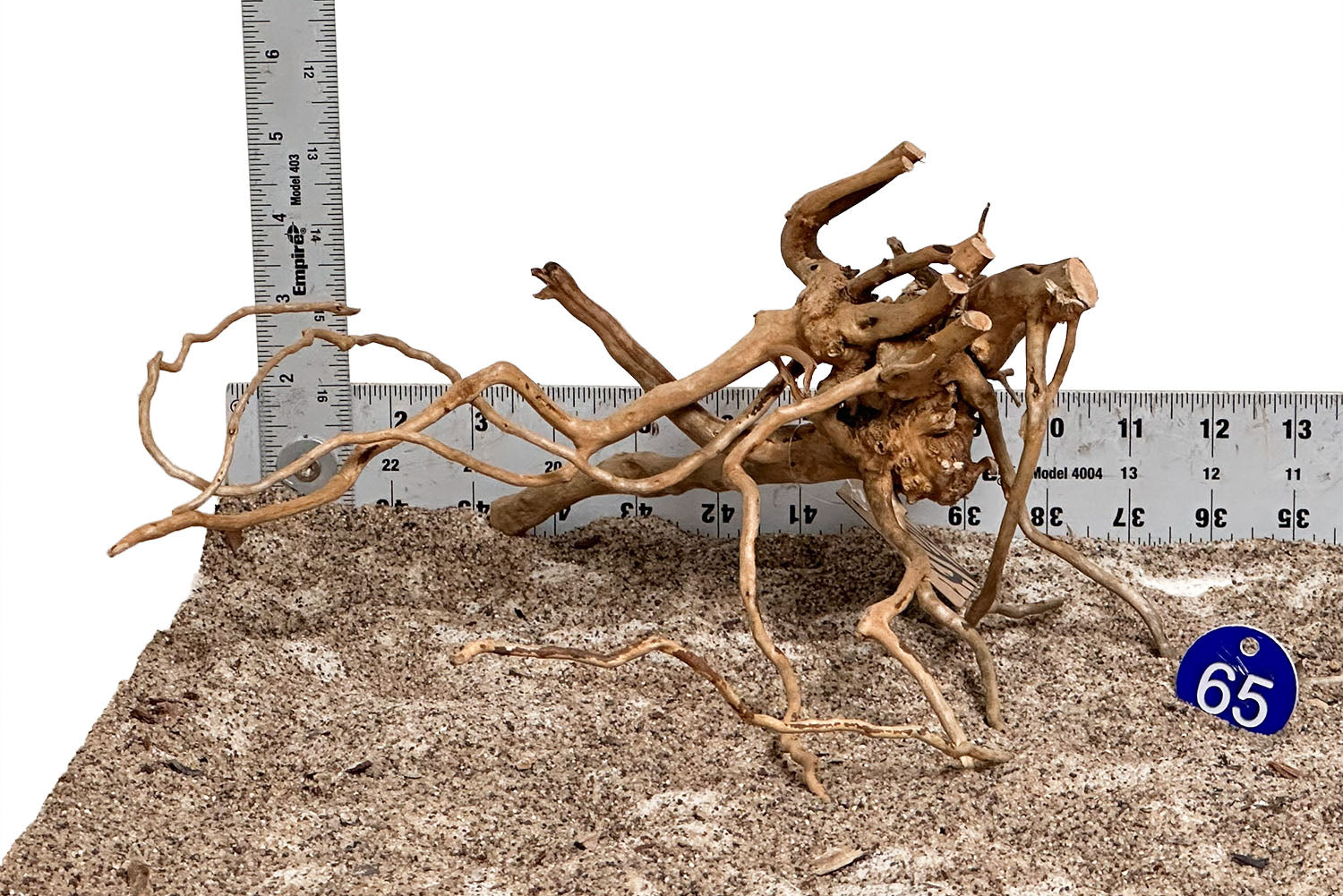 WYSIWYG 65BU - 260502 - Spider Wood (Small)