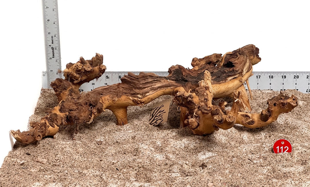 WYSIWYG 112RD - 261027 - Gnarly Wood (L)
