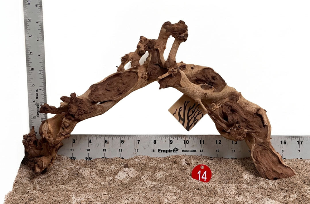 WYSIWYG 14RD - 261027 - Gnarly Wood (M)
