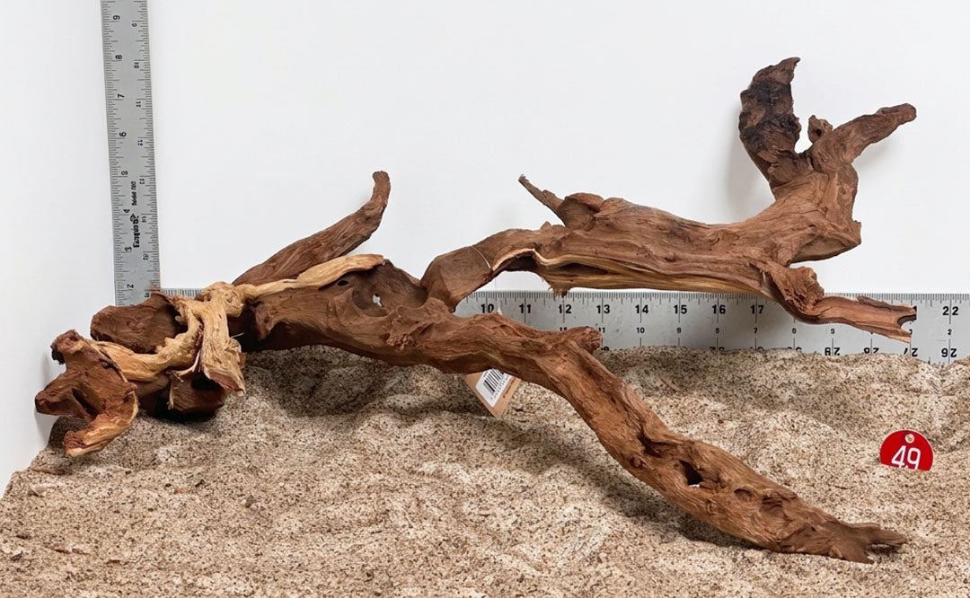 WYSIWYG 49RD - 261027 - Gnarly Wood (XL)