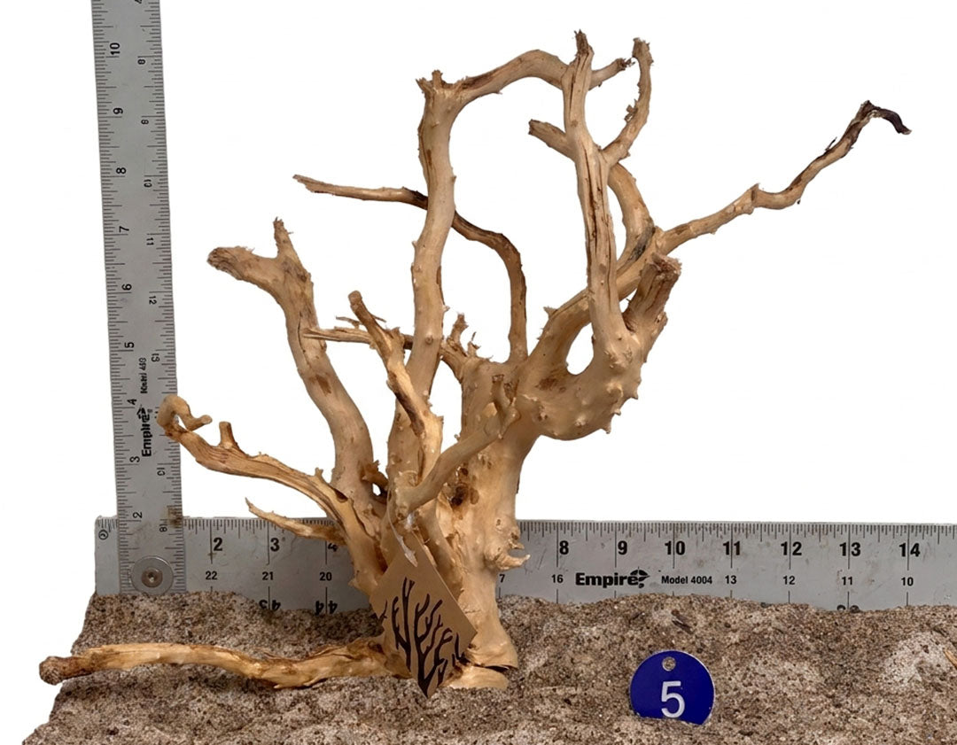 WYSIWYG 5BU - 261027 - Spider Wood (M)