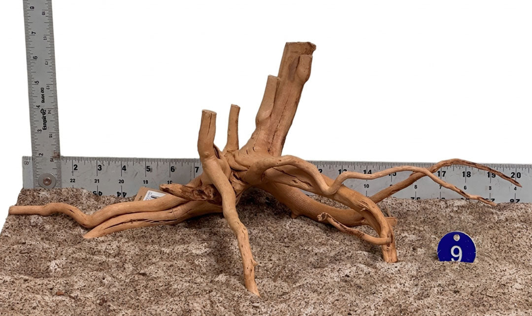 WYSIWYG 9BU - 261027 - Spider Wood (M)