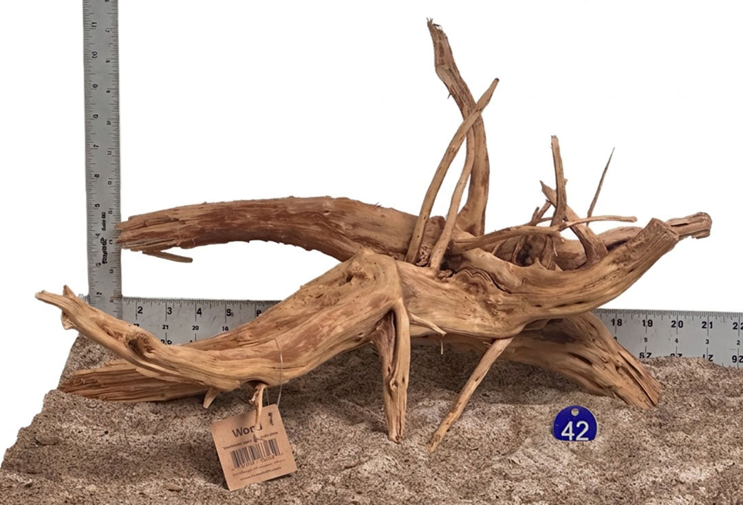 WYSIWYG 42BU - 261027 - Weathered Spider Wood (L)