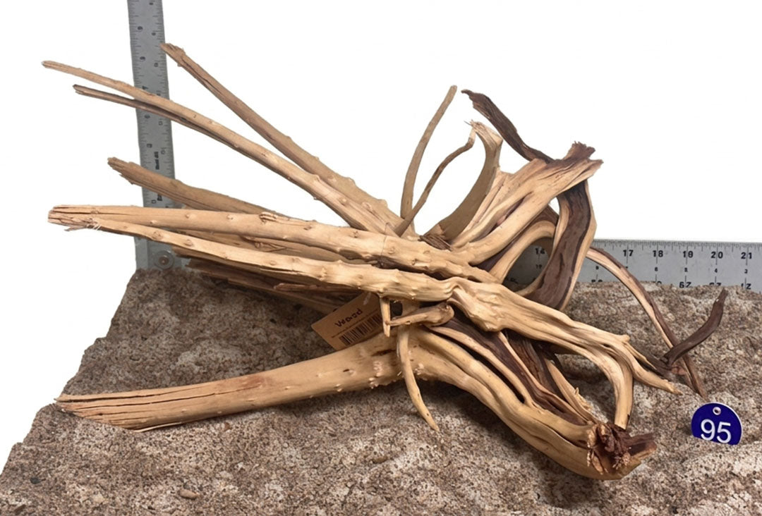 WYSIWYG 95BU - 261027 - Weathered Spider Wood (L)