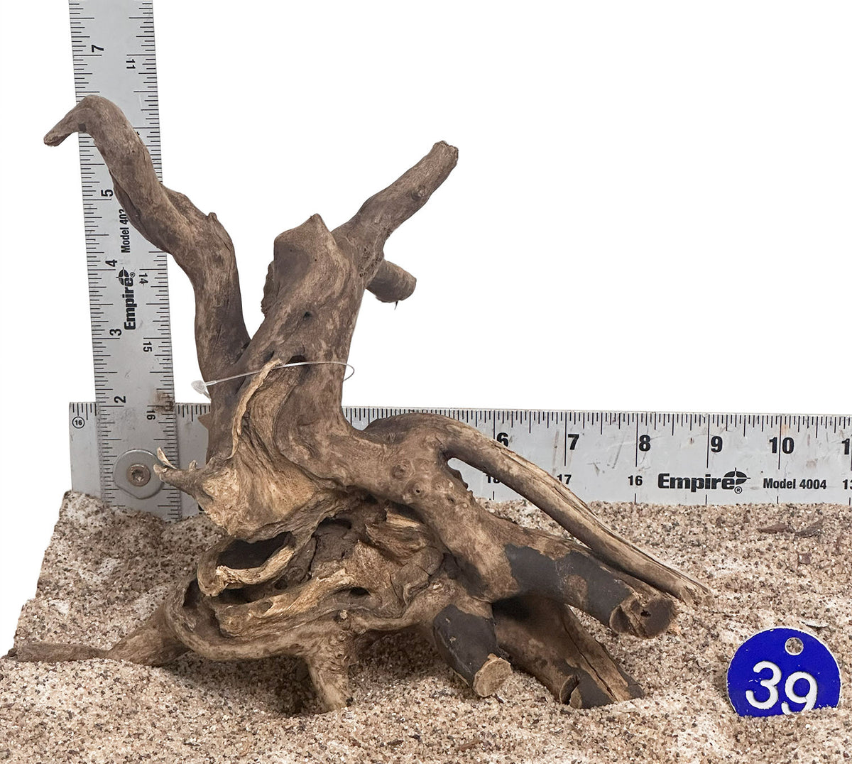 WYSIWYG 39BU - 260916 - Black Spider Wood (Small)