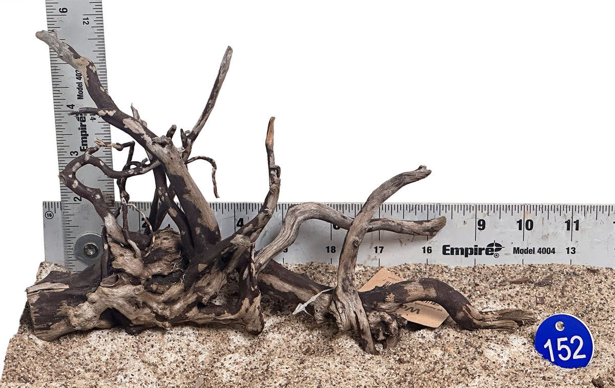 WYSIWYG 152BU - 260916 - Black Spider Wood (Small)