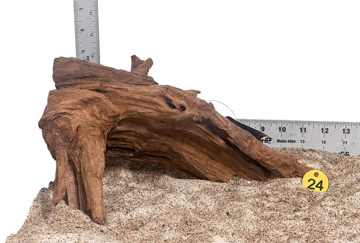 WYSIWYG 24Y - 260916 - Malaysian Mangrove Wood (Medium)