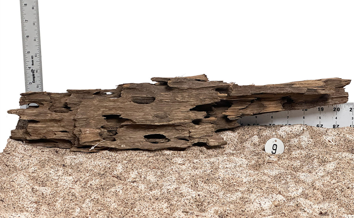 WYSIWYG 9S - 260916 - Ohko Wood (Large)
