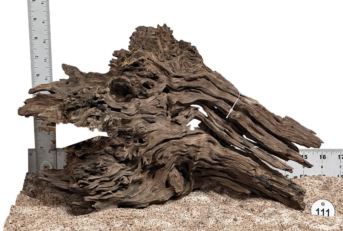 WYSIWYG 111S - 260916 - Ohko Wood (Medium)