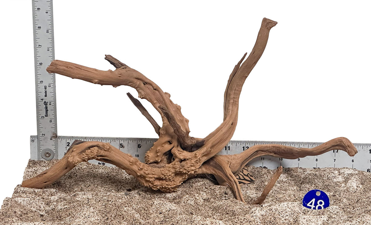 WYSIWYG 48BU - 260916 - Weathered Spider Wood (Medium)