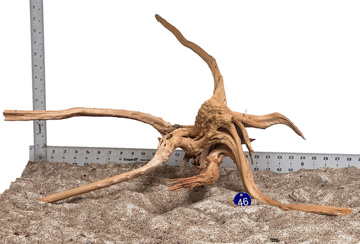 WYSIWYG 46BU - 260916 - Weathered Spider Wood (XL)