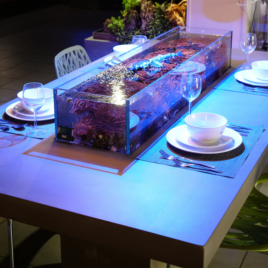 SR Aquaristik Dining Room Aquarium Table