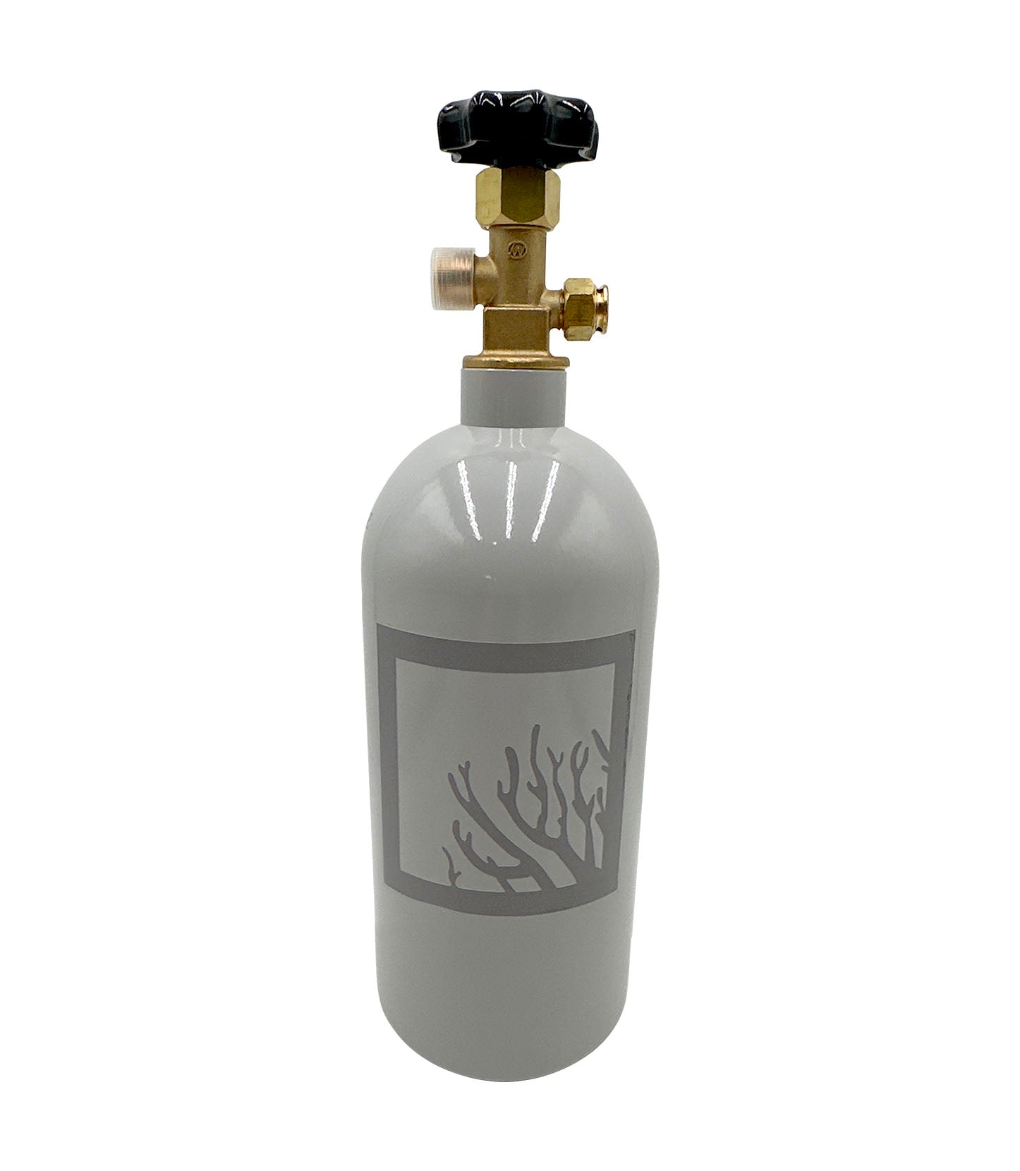 SR Aquaristik 2.5 lbs Aluminum CO2 Bottle