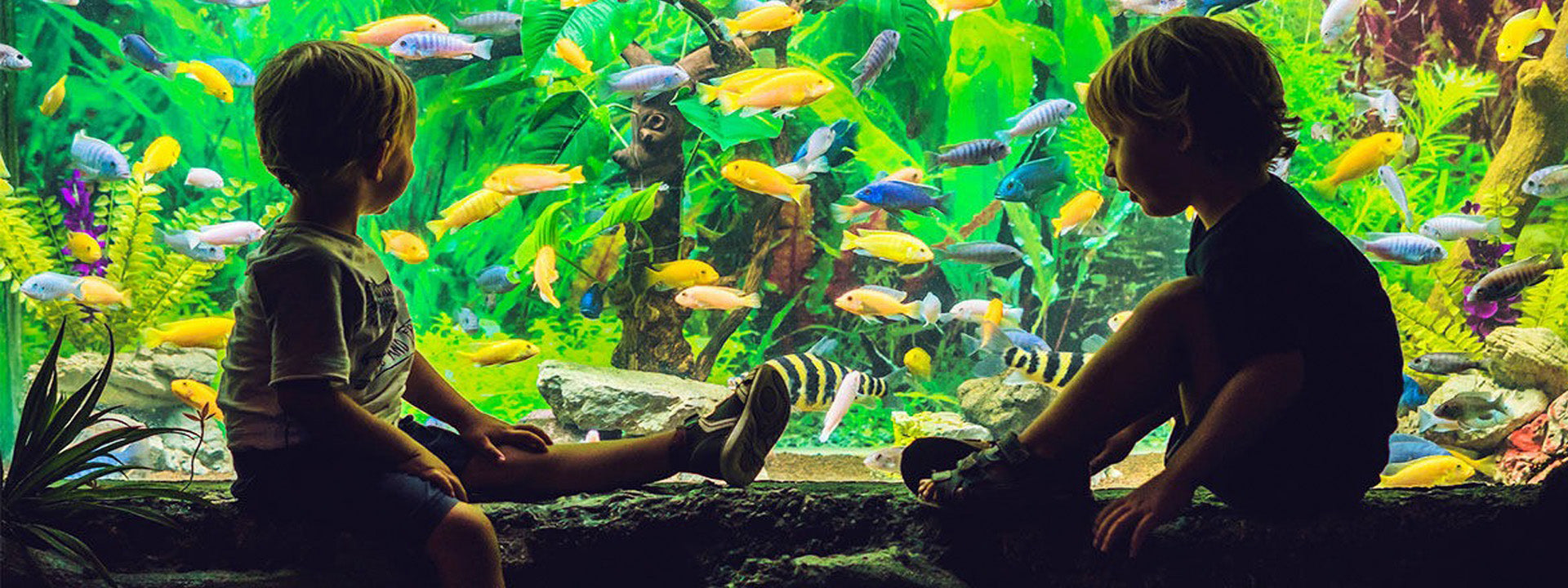 Kids enjoying coral reef fish tank