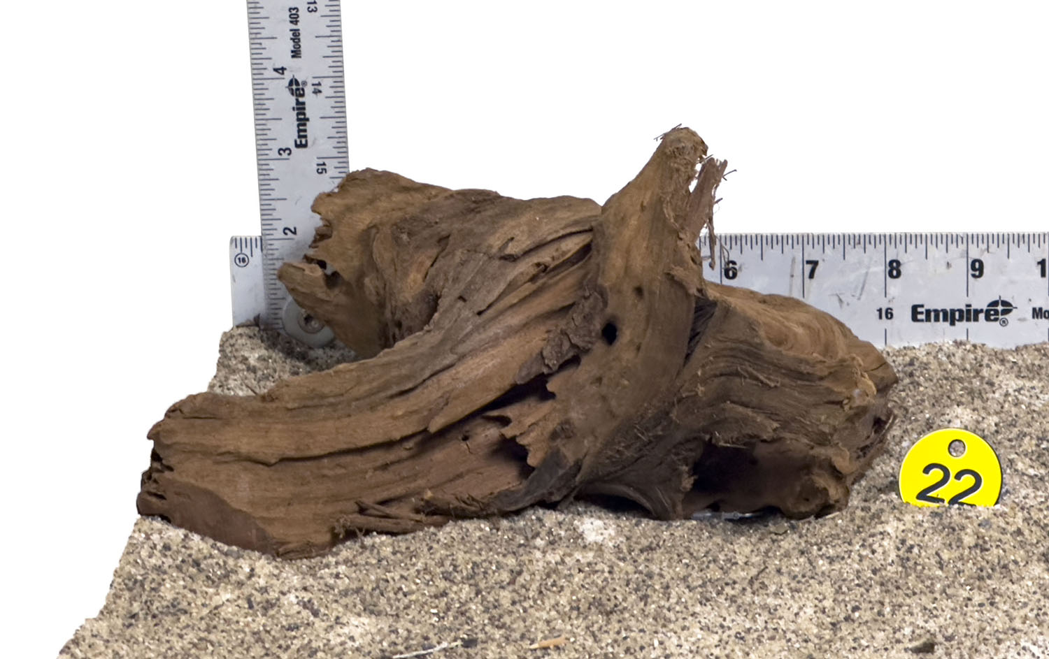 WYSIWYG #22Y - Malaysian Mangrove Wood (Small)