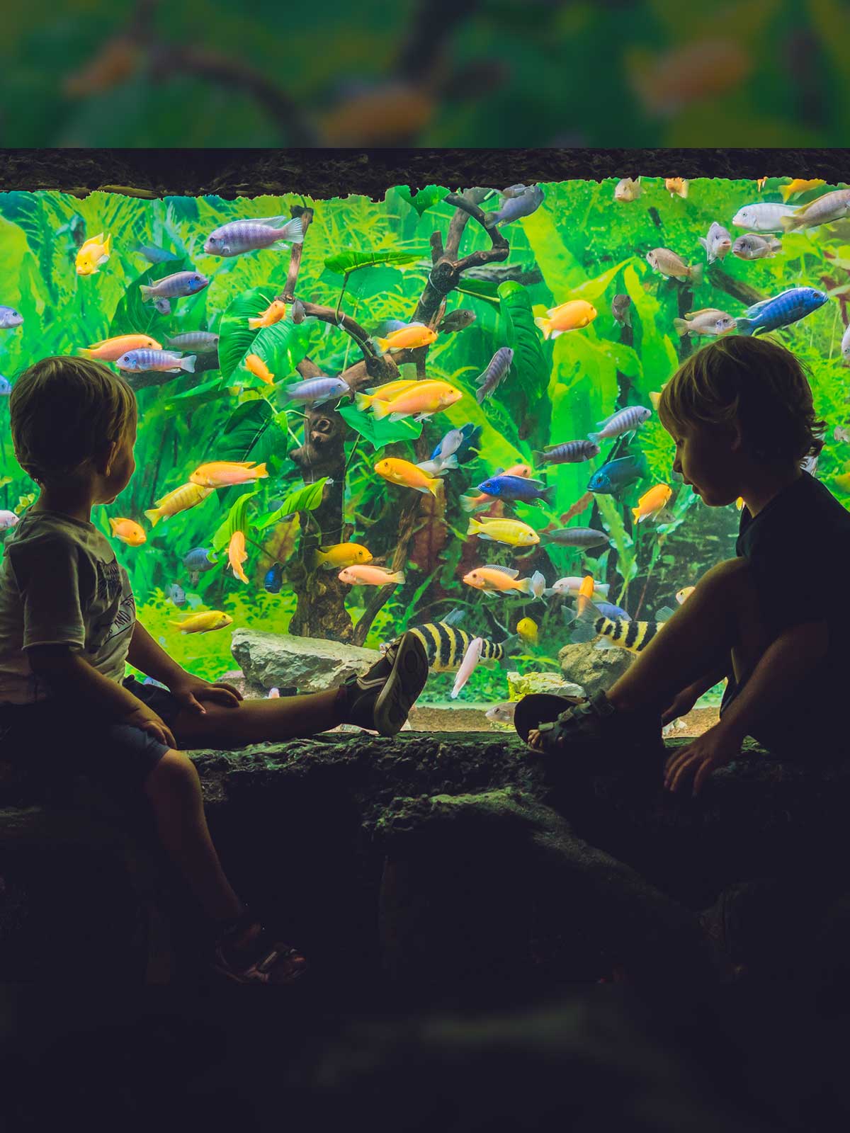 Kids enjoying coral reef fish tank