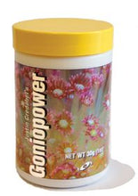 Load image into Gallery viewer, Two Little Fishies Goniopower 1oz (30g)