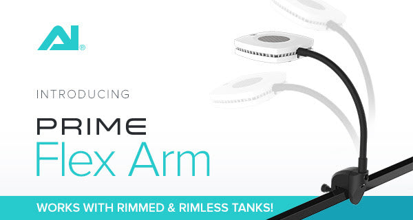 Aqua Illumination 12" Flex Arm for Prime Lighting