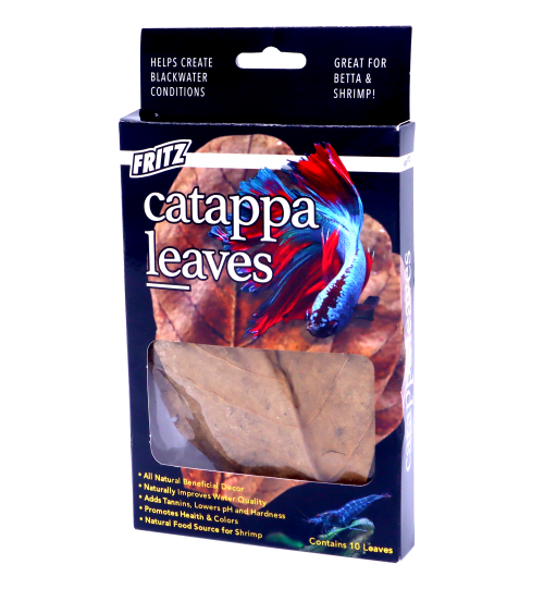 Fritz Catappa Leaves 10 Count