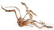 Load image into Gallery viewer, SR Aquaristik Spider Wood