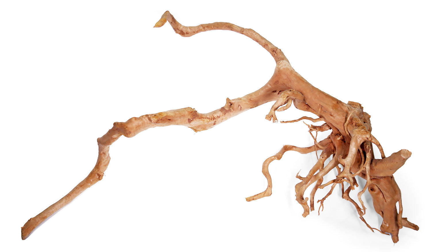 Small (4-6) Spider Wood Driftwood – Glass Grown Aquatics