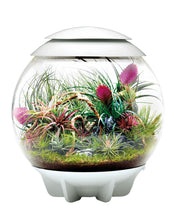Load image into Gallery viewer, Oase biOrb Air Terrarium White