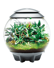 Load image into Gallery viewer, Oase biOrb Air Terrarium Gray