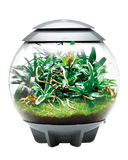 Oase biOrb Air Terrarium Gray