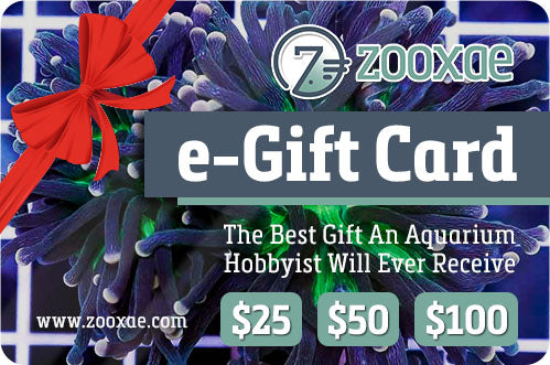 Zooxae.com Electronic Gift Card
