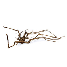 Load image into Gallery viewer, buy pine spider wood