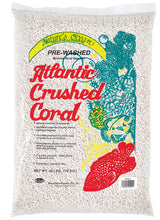Load image into Gallery viewer, World Wide Imports Nature&#39;s Ocean Marine Pre-Washed Atlantic Crushed Coral